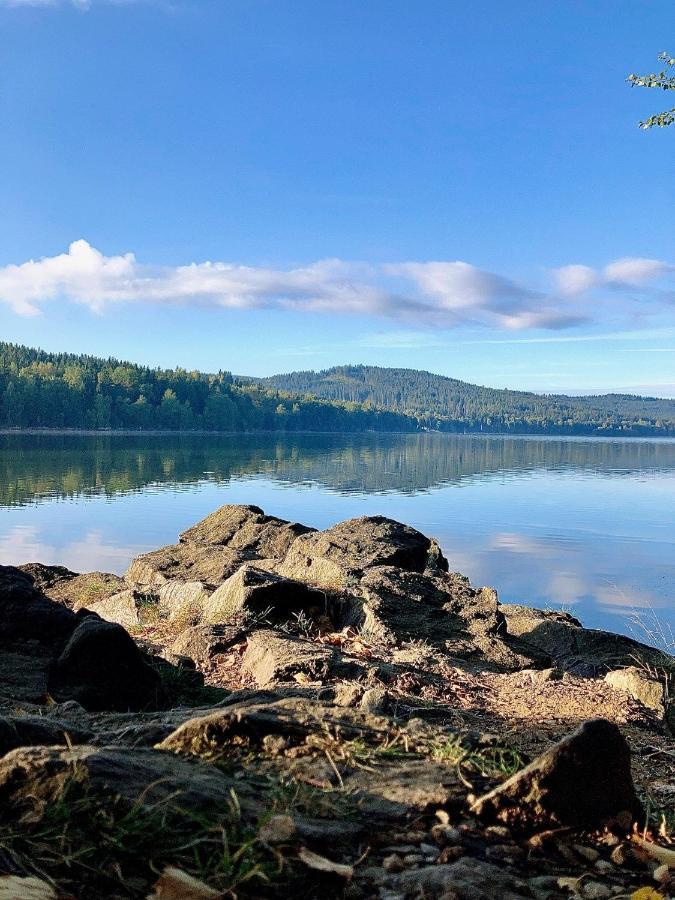 Apartman Riviera 41 Lipno nad Vltavou Kültér fotó
